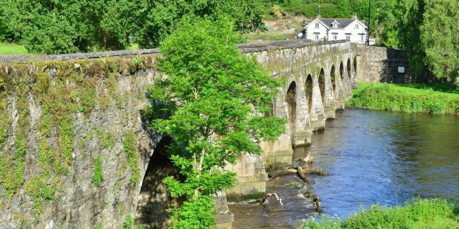Bosques en Pueblos Que Ver en Irlanda
