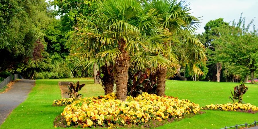 hermosos parques de Dublín